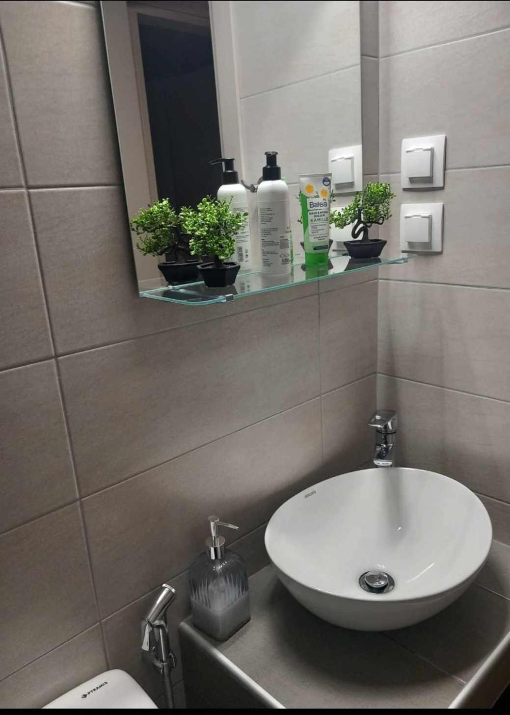 Irene Apartment アレクサンドルポリス エクステリア 写真